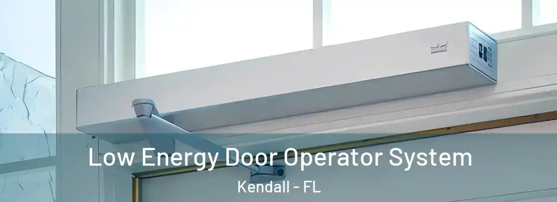  Low Energy Door Operator System Kendall - FL